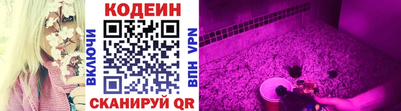 Кодеиновый сироп Lean Purple Drank  магазин продажи   Сольвычегодск 