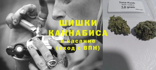амф Арсеньев